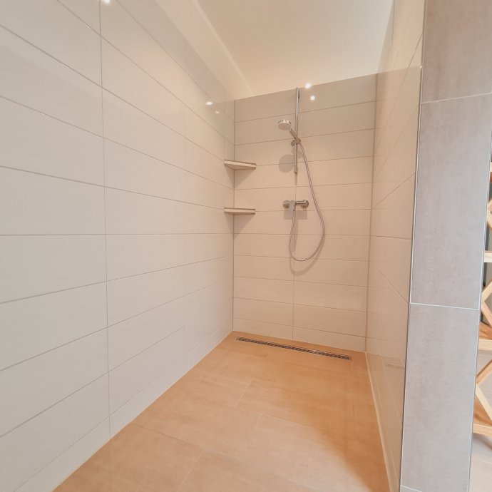 Badezimmer 01 Dusche - Ferienwohnung "Reh" im DG