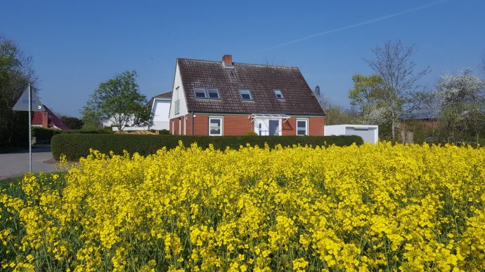 Ferienhaus <b>"Am Feld"</b> mit Ferienwohnungen